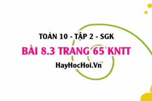 Bài 8.3 trang 65 Toán 10 tập 2 Kết nối tri thức: Ứng dụng quy tắc đếm trong di truyền học
